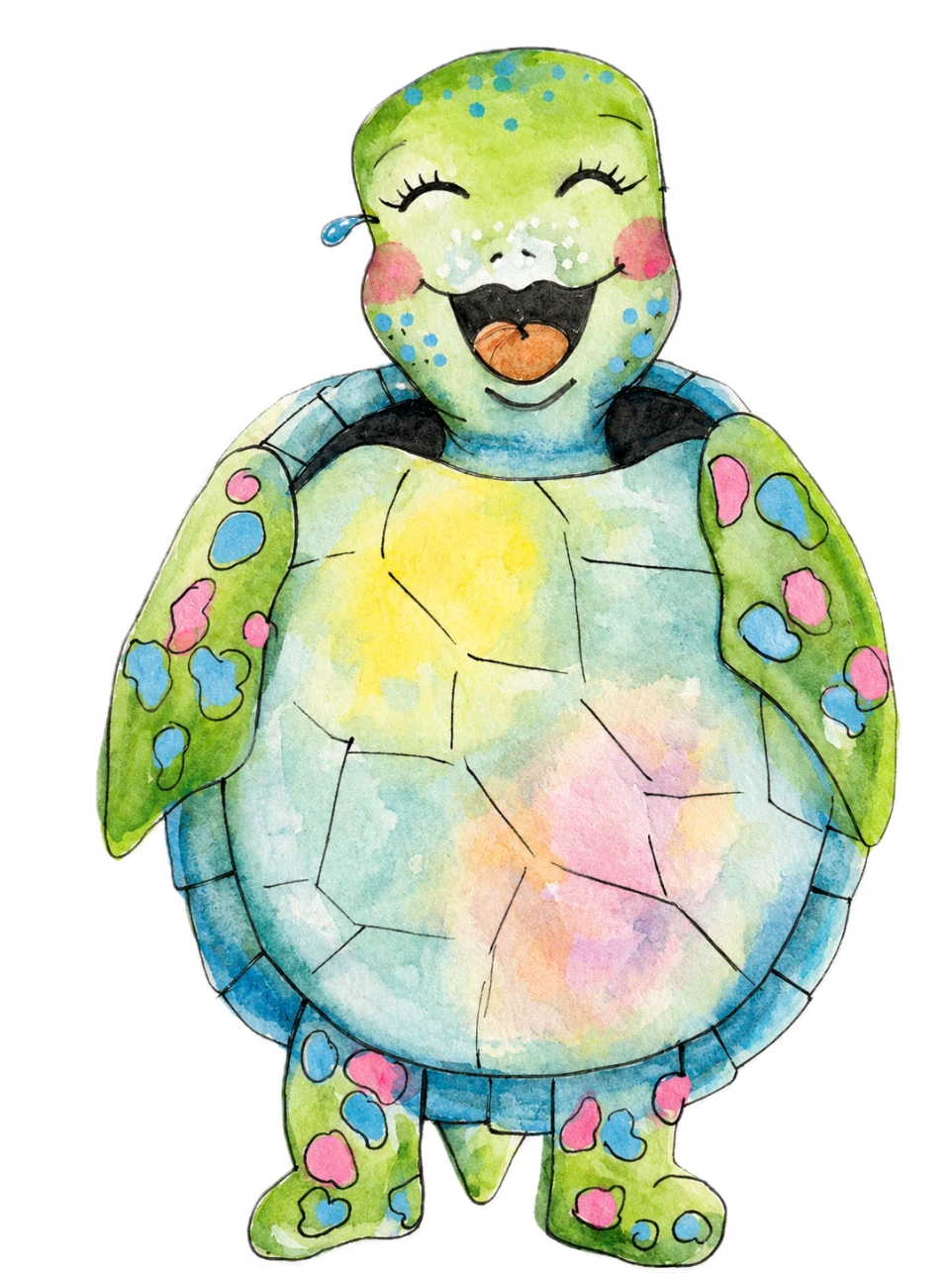 Schildkröten Illustration