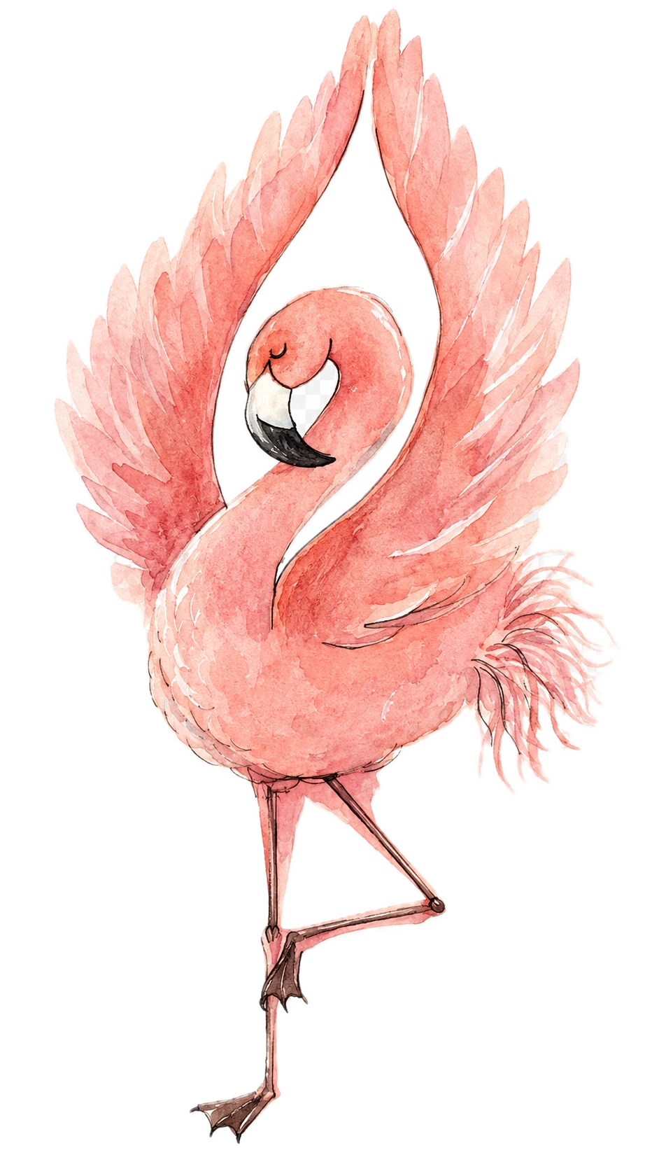 Flamingo Illustration